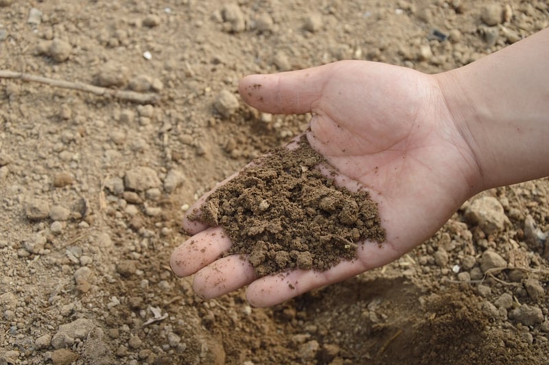Community Composting